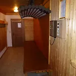 Hoelzlbauer Apartment *